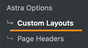 Astra theme options