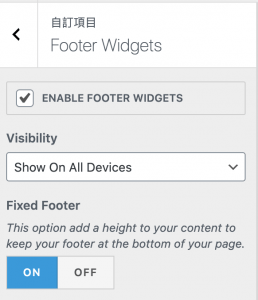 Astra footer widgets